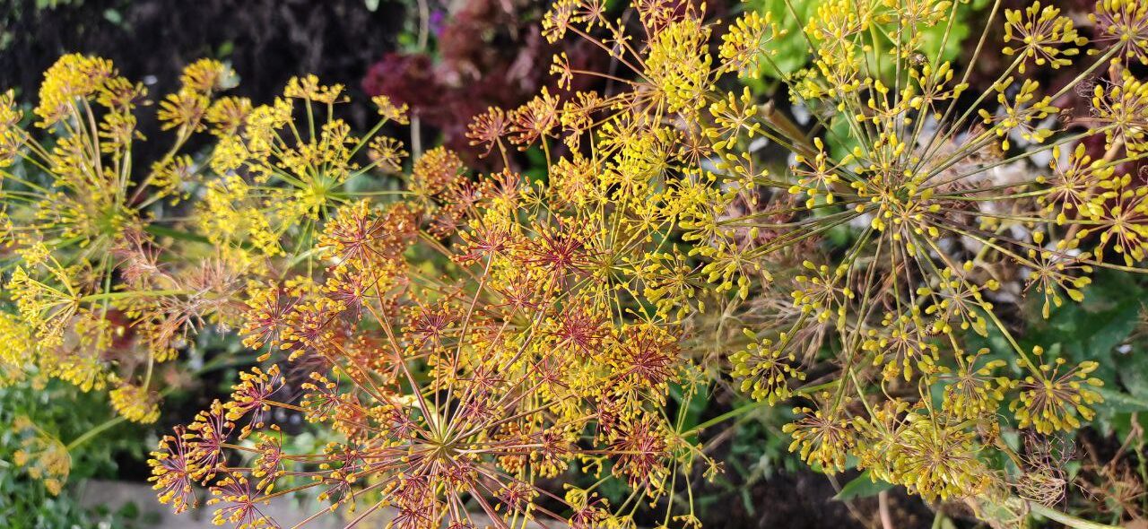 photo_2025-09-04_07-55-14 (11)